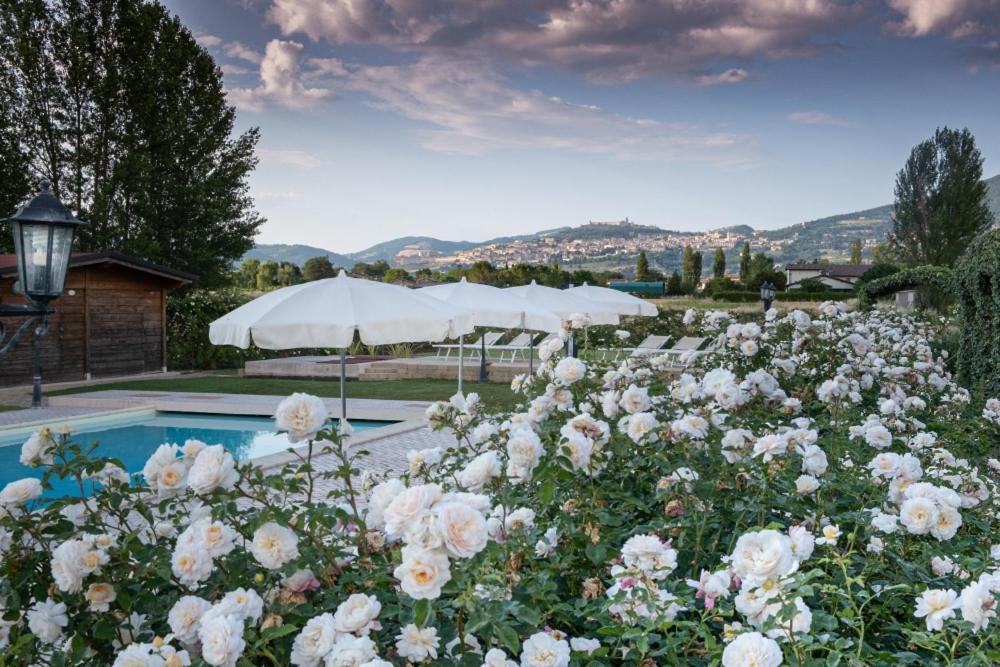 Il Fienile Di Assisi Villa ภายนอก รูปภาพ
