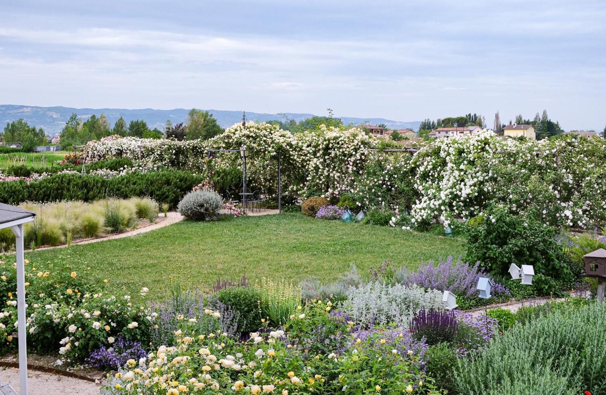 Il Fienile Di Assisi Villa ภายนอก รูปภาพ