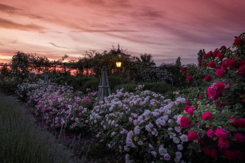 Il Fienile Di Assisi Villa ภายนอก รูปภาพ