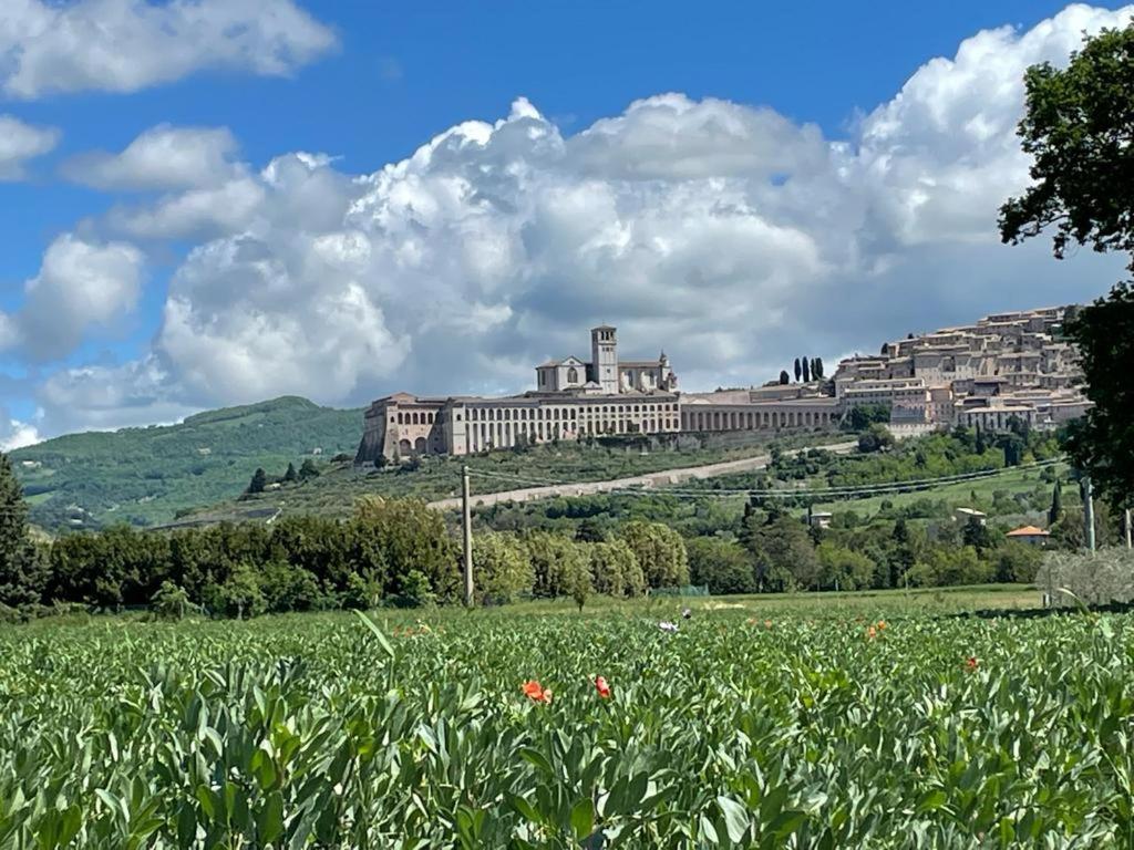 Il Fienile Di Assisi Villa ภายนอก รูปภาพ