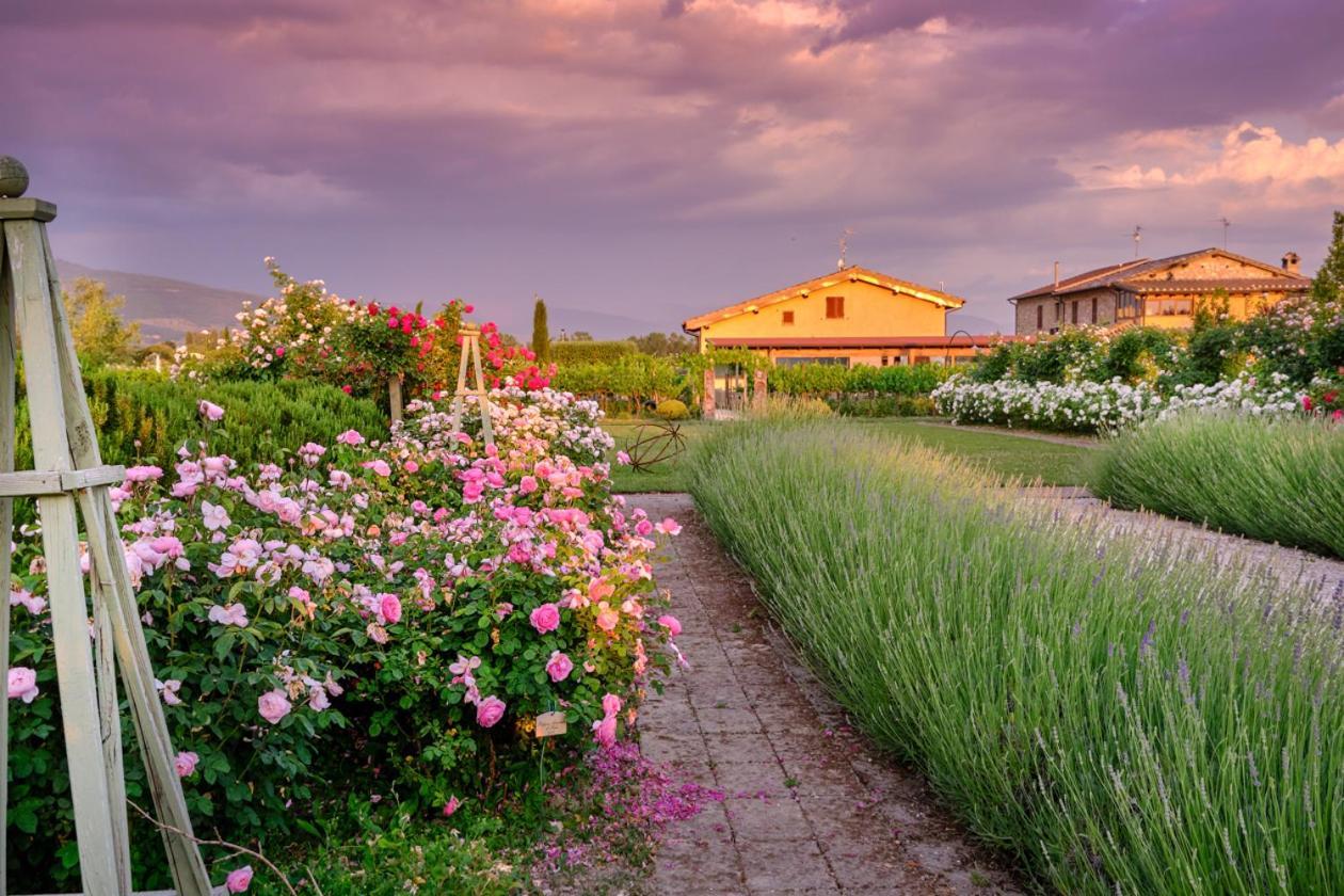 Il Fienile Di Assisi Villa ภายนอก รูปภาพ