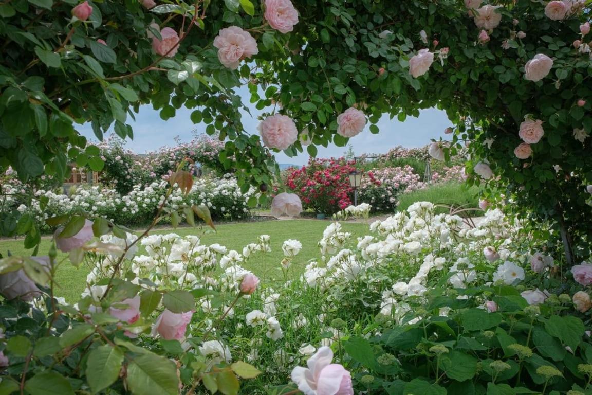 Il Fienile Di Assisi Villa ภายนอก รูปภาพ