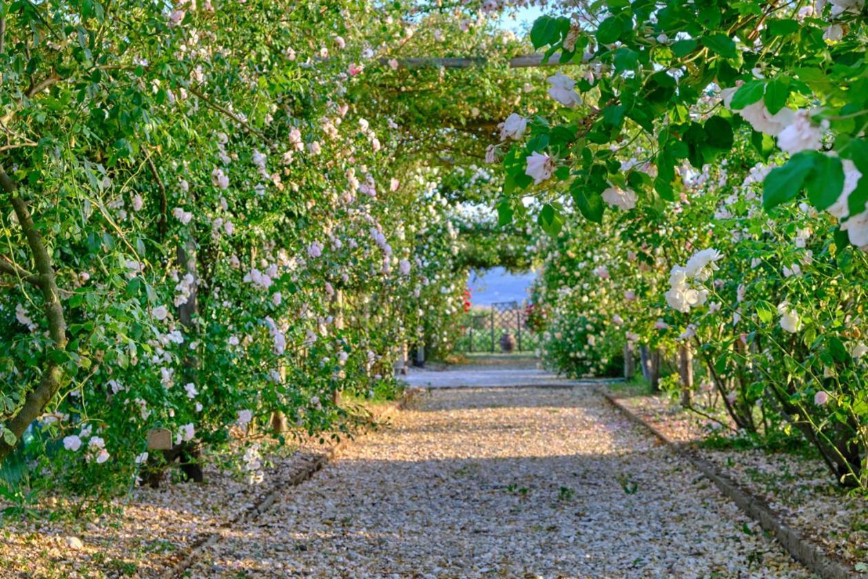Il Fienile Di Assisi Villa ภายนอก รูปภาพ