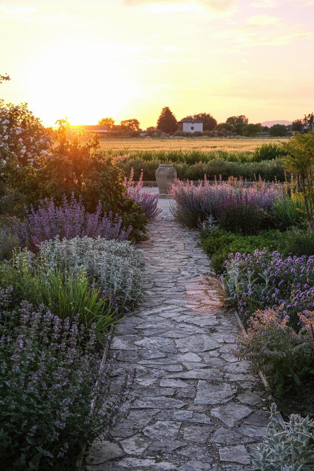 Il Fienile Di Assisi Villa ภายนอก รูปภาพ