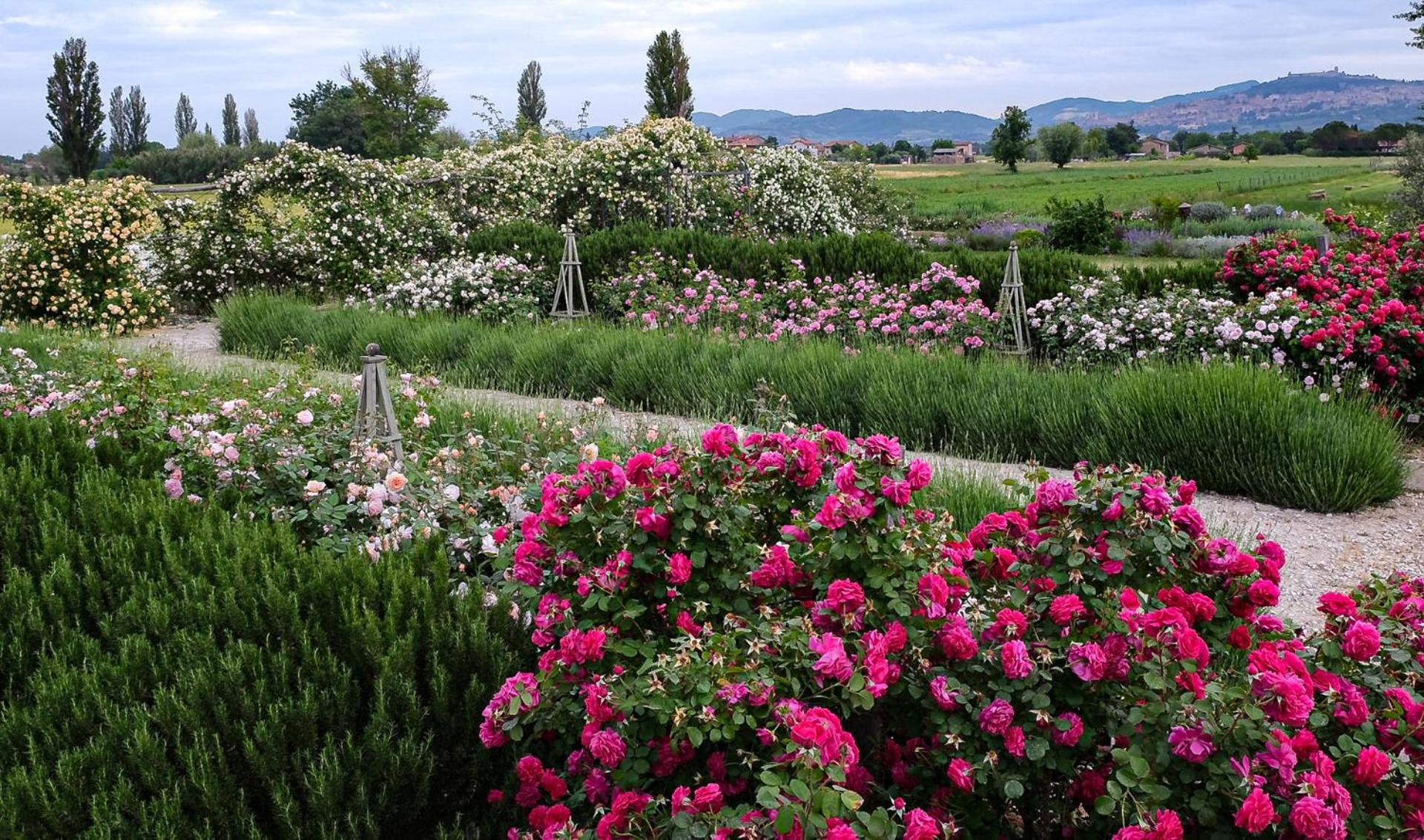 Il Fienile Di Assisi Villa ภายนอก รูปภาพ