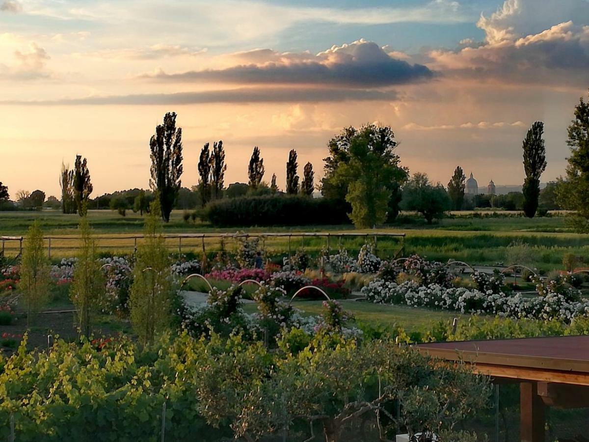 Il Fienile Di Assisi Villa ภายนอก รูปภาพ