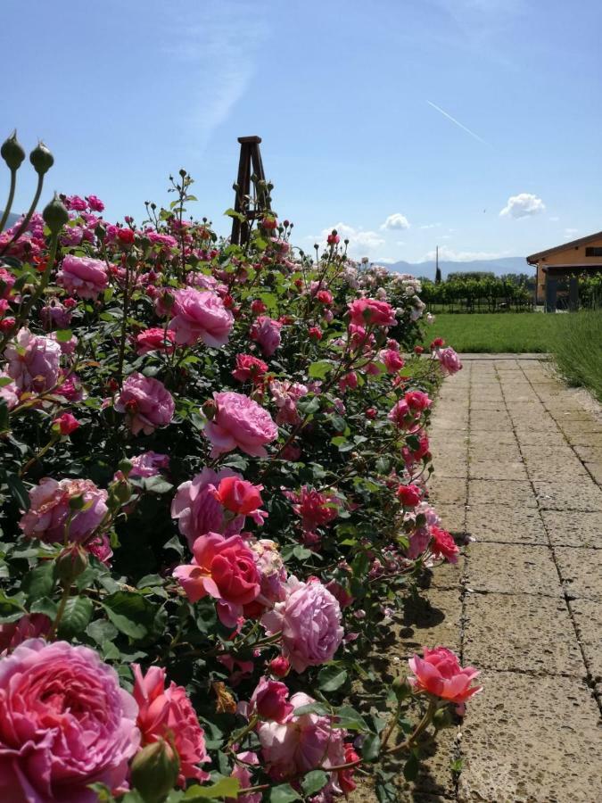 Il Fienile Di Assisi Villa ภายนอก รูปภาพ