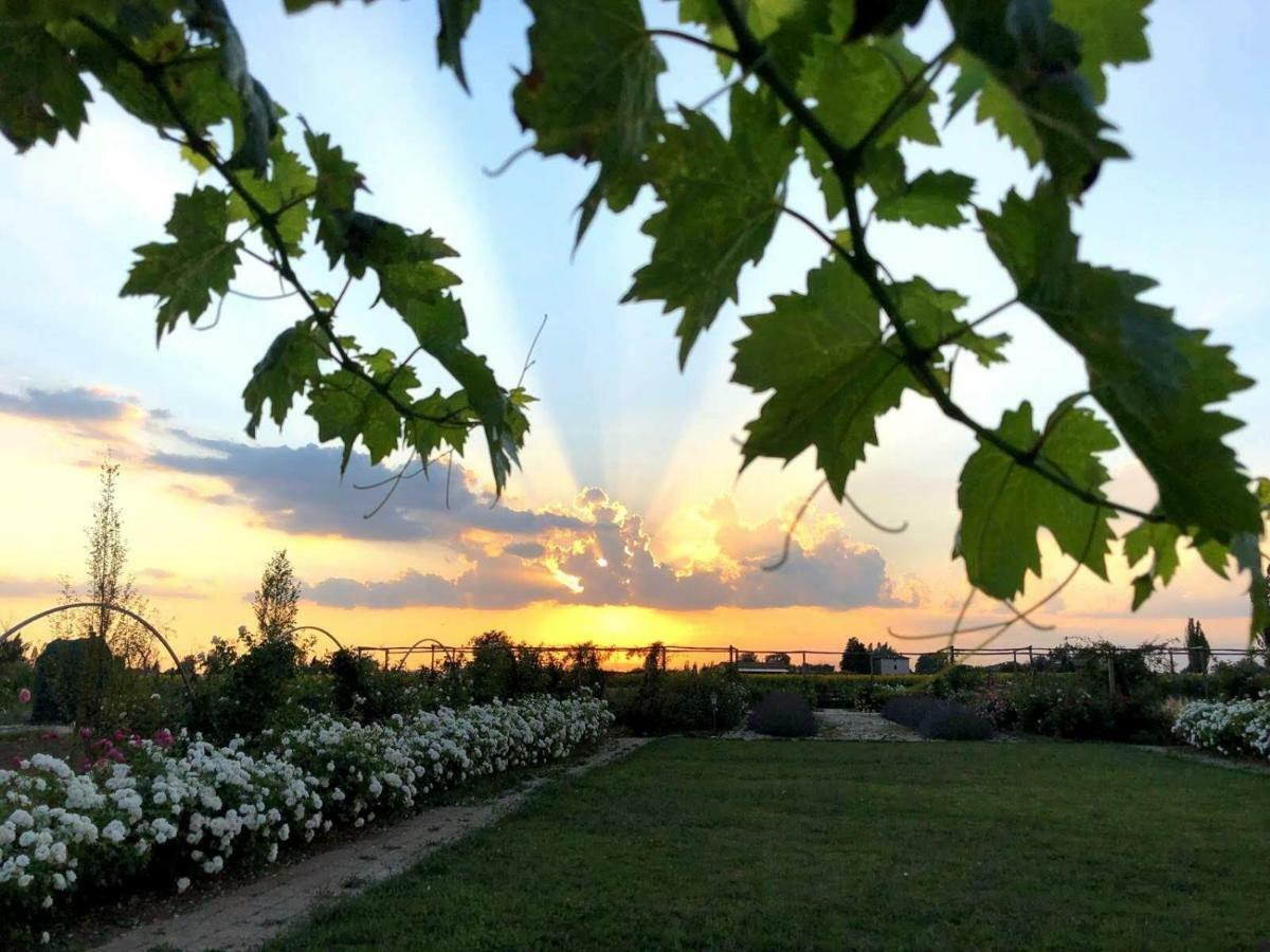 Il Fienile Di Assisi Villa ภายนอก รูปภาพ